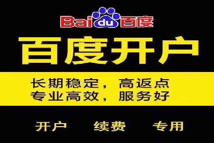 专业SEM运营托管服务案例分析
